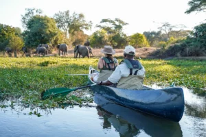 leguidesafari zambie lower zambezi experience 3